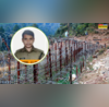 India Pakistan Tensions पाकिस्तानी फायरिंग में BSF जवान शहीद दुश्मनों से लोहा लेते दिया बलिदान