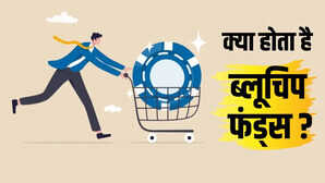 Explainer क्या होता है ब्लूचिप फंड्स एक साल में दिया 16 रिटर्न और जोखिम भी कम