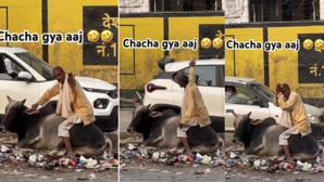 चाचा का स्वैगसांड पर बैठकर ऐसे ले रहे थे मजे देखकर लोगों का पुर्जा-पुर्जा हिल गया देखें Viral Video