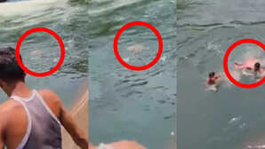 VIDEO डैम के पास खड़े होकर प्रेमी से बात करने लगी लड़की तभी बैलेंस बिगड़ा और नीचे जा गिरी