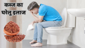 सख्त मल को एकदम ढीला कर देते हैं ये काले रंग के बीज कब्ज का साबित होते हैं रामबाण इलाज बस जान लें सेवन का सही तरीका