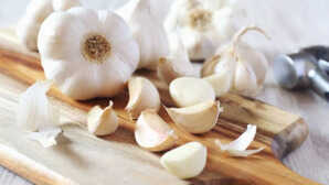 अब साल भर खराब नहीं होंगे लहसुन Garlic को फ्रेश रखने के लिए इन बातों का रखें ध्यान
