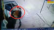 Baghpat News बकरीद से पहले बकरा चोरी का मामला कार में बकरे भरकर भागे बदमाश CCTV में कैद हुई घटना