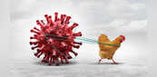 गोरखपुर में Bird Flu का खौफ, मृत बाघिन में संक्रमण की पुष्टि, एक हफ्ते के लिए बंद चिड़ियाघर