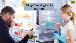 Fridge Smell Remover Tips सफाई के बाद भी Fridge से आ रही है गंदी बदबू चुटकी में महक दूर करने के लिए फॉलों करें ये टिप्स