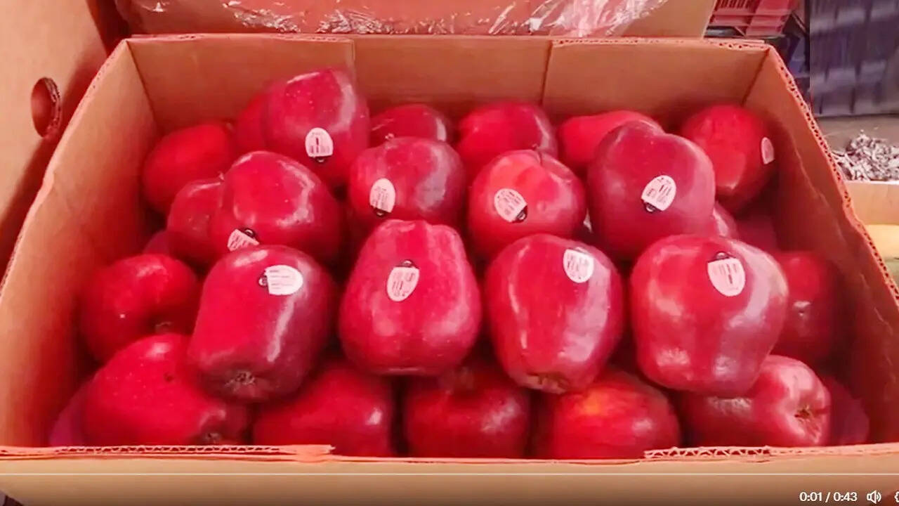 apple