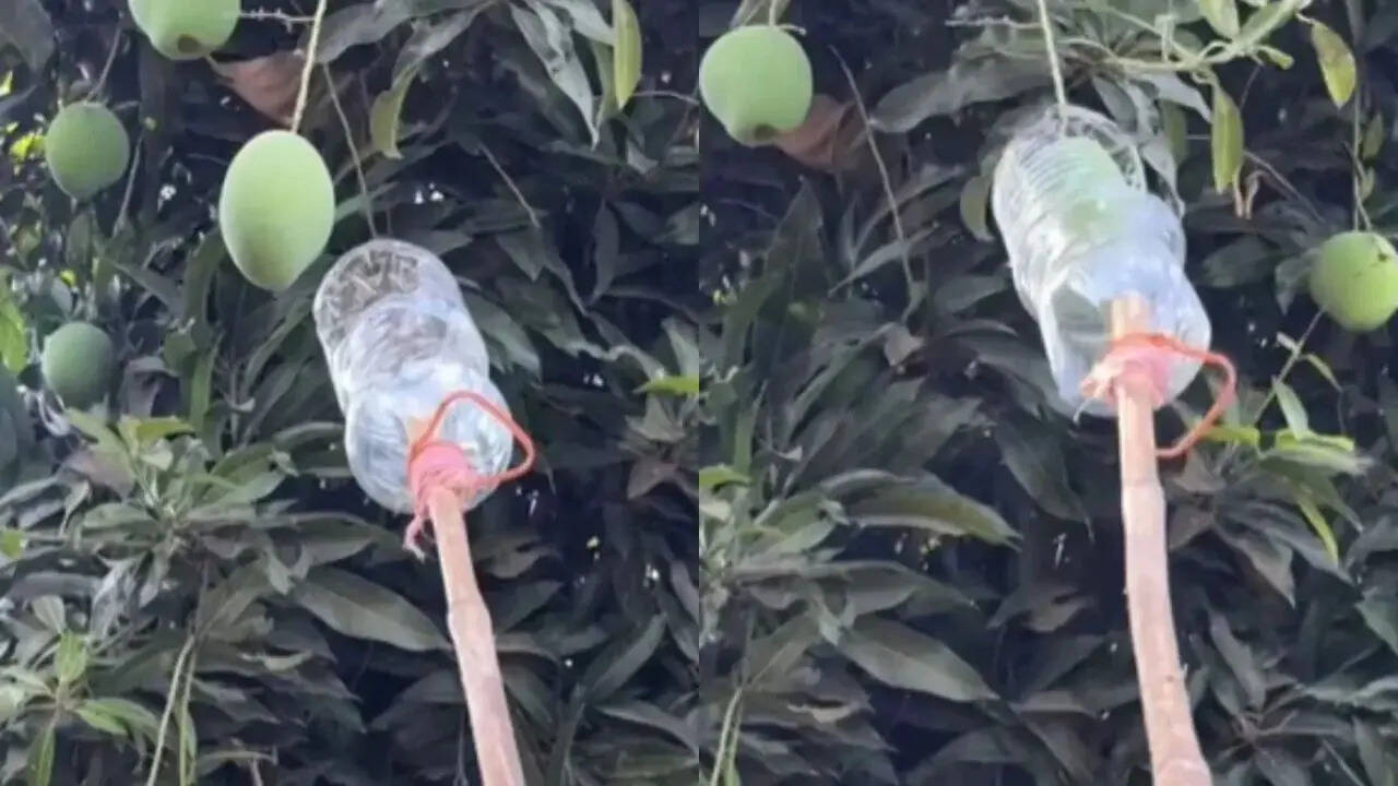 Desi Jugaad Viral Video