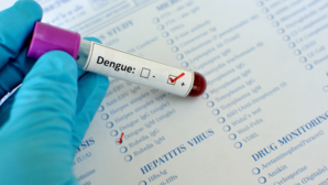 National Dengue Day 2025 क्यों और कब मनाया जाता है राष्ट्रीय डेंगू दिवस जानें इसकी थीम लक्षण और बचाव के उपाय