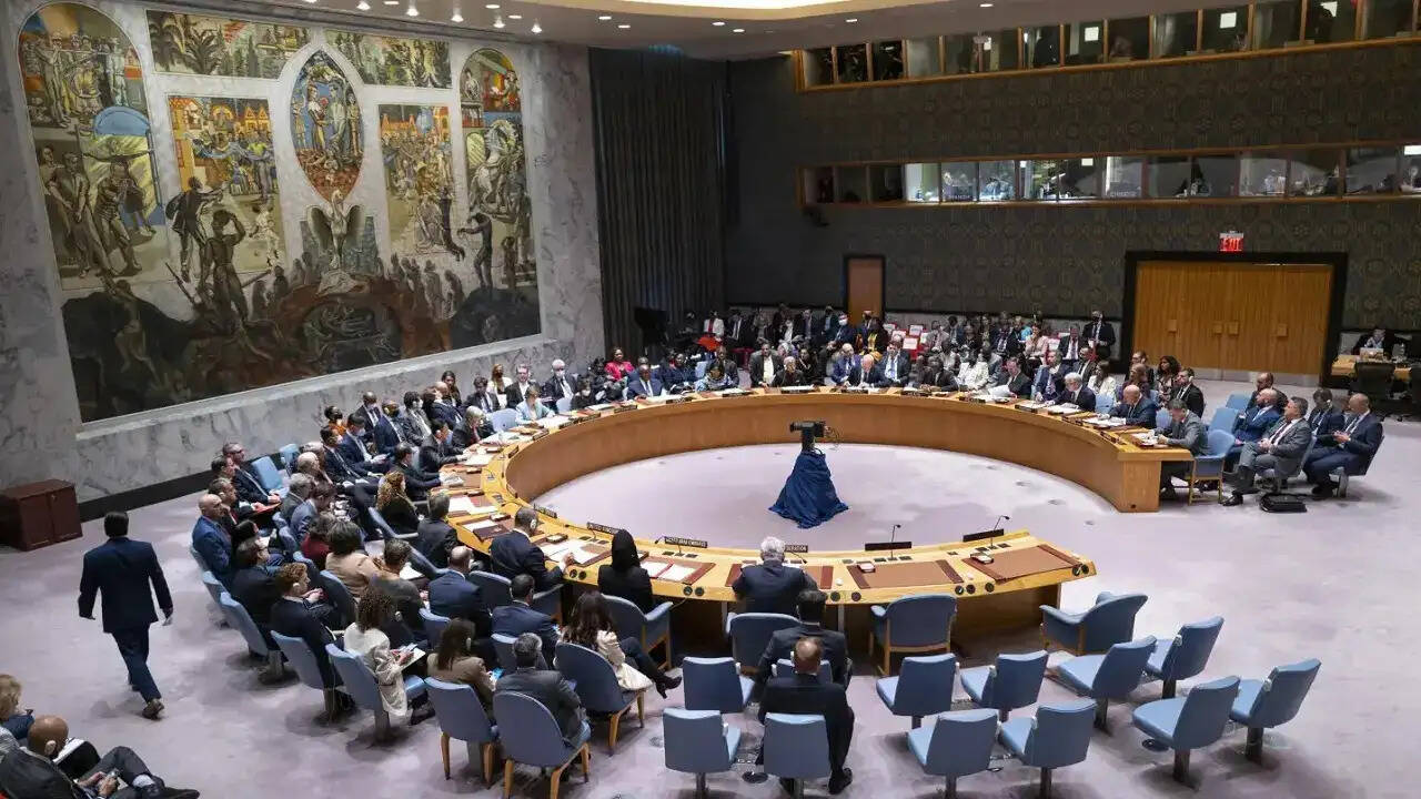 UNSC