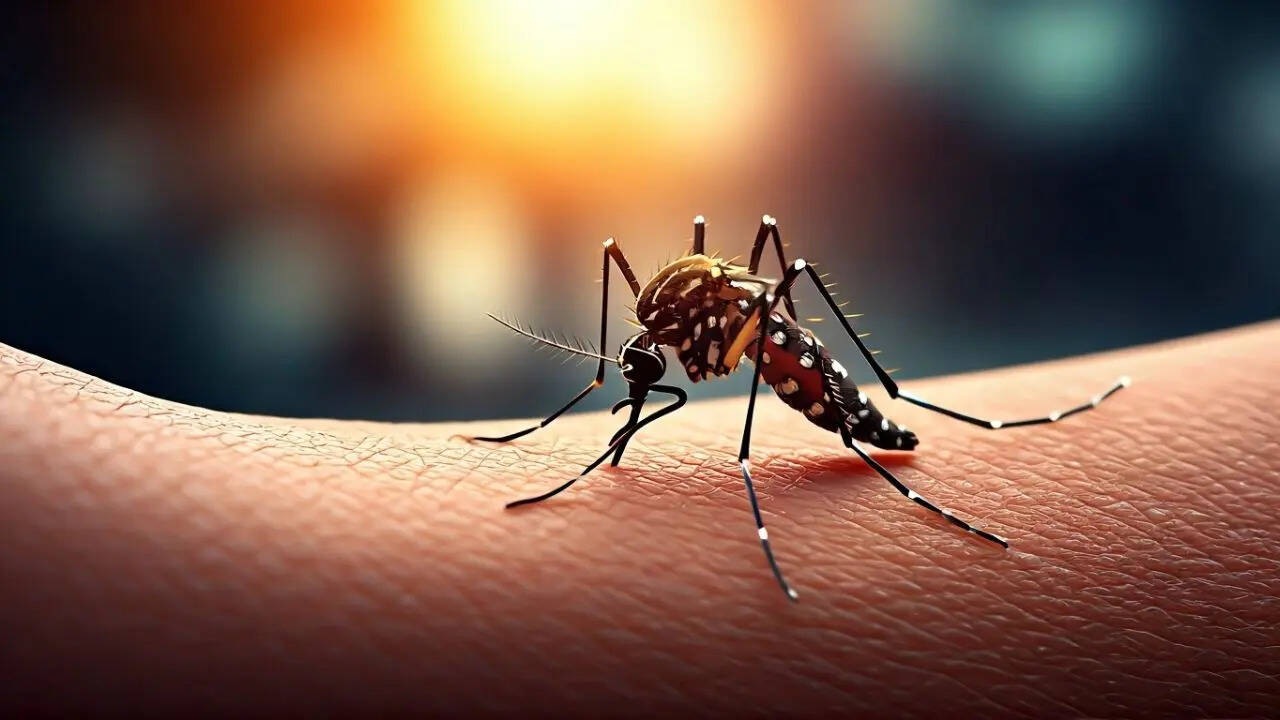 National Dengue Day