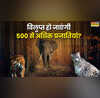 भारत मे किन-किन जीवों पर मंडरा रहा विलुप्त होने का खतरा दुनिया भर में 500 से अधिक प्रजातियों पर मंडरा रहा संकट