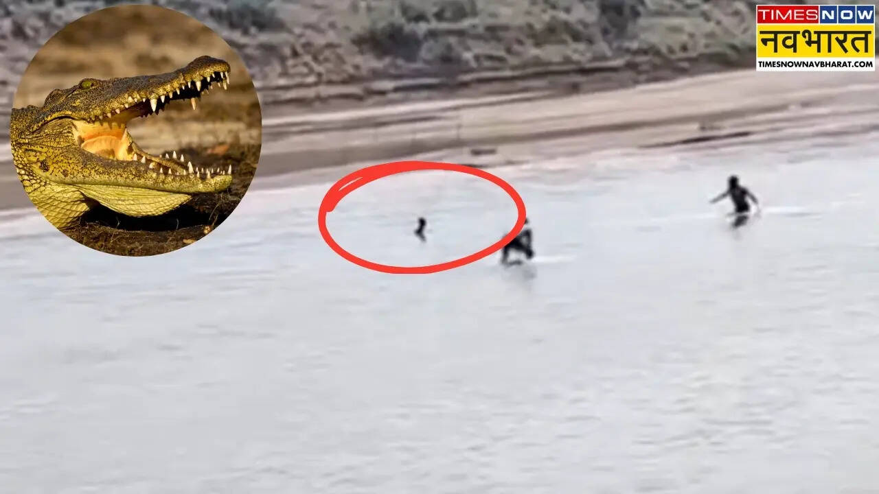 crocodile attacks young man in agra