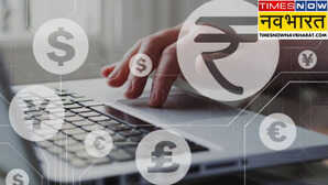 FPI Investment विदेशी निवेशकों ने भारतीय शेयर बाजार के लिए खोला खजाना एक दिन में किया 8831 करोड़ रु का निवेश