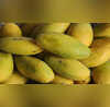 Dasheri Mango नवाबी शौक और अवध का एक गांव जानें कैसे पड़ा था दशहरी आम का नाम