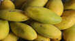 Dasheri Mango नवाबी शौक और अवध का एक गांव जानें कैसे पड़ा था दशहरी आम का नाम
