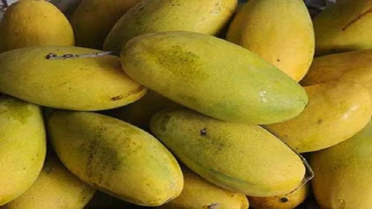 dasheri-mango.