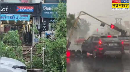 Noida: आंधी-बारिश बनी जान की आफत, कई जगहों पर गिरे पेड़ और खंभे, बाल-बाल बचे लोग