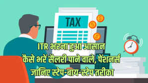 ITR Filing 2025 वेतनभोगी कैसे भरें इनकम टैक्स रिटर्न जानें पूरा प्रोसेस और जरूरी बातें
