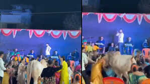 Video शादी में डांस कर रहे थे लोग तभी आवारा सांड ने कर दिया हमला देखते ही देखते तहस-नहस कर दी पार्टी