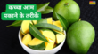 How To Ripen Mangoes इस गर्मी खाएं ताजे पके आम देखें घर में ही कच्चे आम को पकाने का तरीका क्या होता है