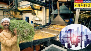 Food Processing Sector फूड प्रोसेसिंग सेक्टर के लिए PLI स्कीम से 25 लाख लोगों को मिली नौकरी 9 लाख किसानों को हुआ फायदा
