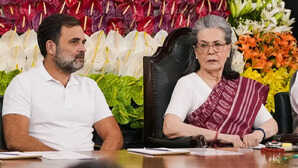 प्रथम दृष्टया सोनिया गांधी और राहुल गांधी के खिलाफ मामला बनता है- नेशनल हेराल्ड केस में ED की दलील जानें कोर्ट ने क्या कहा