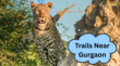 Trails Near Gurgaon दिल्ली में रहकर ही मिल जाएगा पहाड़ों पर चढ़ाई का मजा वीकेंड के लिए अभी से बना लें यहां जाने का प्लान