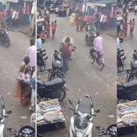 Viral Video Today सड़क किनारे फोन पर बात कर रहा था शख्स सांड ने उठाकर ऐसे पटका दुनिया ही बदल गई