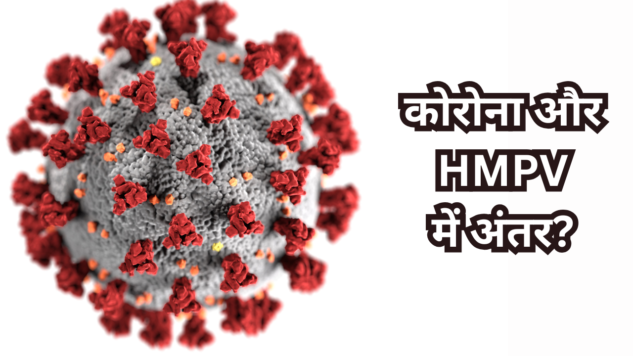 Difference between corona and hmpv