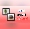 घर में लगाएं फेंगशुई के ये 5 लकी चार्म्स बदल जाएगी आपकी जिंदगी बरसेगा ढेर सारा पैसा