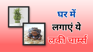 घर में लगाएं फेंगशुई के ये 5 लकी चार्म्स बदल जाएगी आपकी जिंदगी बरसेगा ढेर सारा पैसा