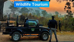 Wildlife Tourism जिम कॉर्बेट नेशनल पार्क के बारे में रोचक तथ्य बेहद कम पर्यटकों को है जानकारी