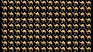 Optical Illusion तस्वीर में सारे ऊंट एक कूबड़ वाले दो कूबड़ वाला ढूंढ पाए तो कहलाएंगे जीनियसों के सरदार