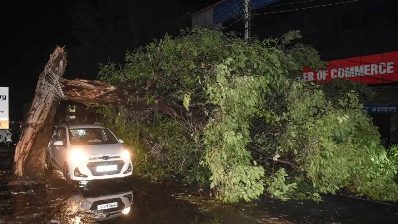 50 people died in the storm