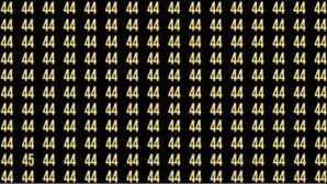 गणित के 44 की भीड़ में छिपकर बैठा है 45 नंबर अगर ढूंढ़ निकाला तो मान लेंगे जीनियस