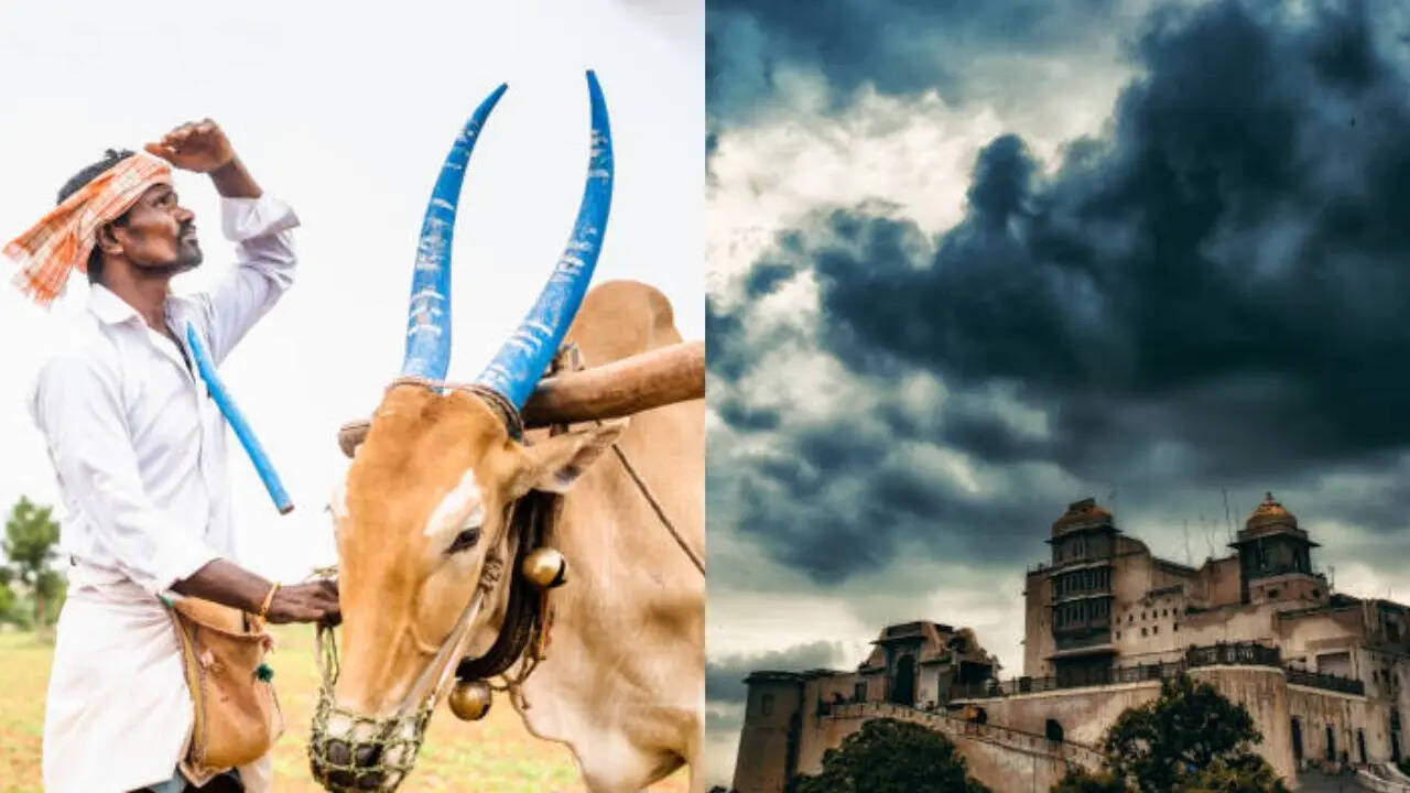 The monsoon update