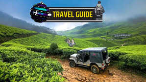 Munnar Travel Guide मुन्नार जाने का बना रहे हैं प्लान ये रही पूरी ट्रैवल गाइड जान समझकर बना लें प्लान