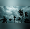 Kerala Monsoon केरल में मूसलाधार बारिश नहीं थमेगा बादलों के बरसने का सिलसिला कर्नाटक-तमिलनाडु में भी अलर्ट