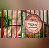 सरकार की तिजोरी में आया बंपर पैसा जानिए RBI ने क्यों दिए 27 लाख करोड़ रुपये