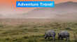Adventure Travel भारत में मौजूद कुछ कम ज्ञात जंगल सफारी हर उम्र के लोगों को आती है पसंद