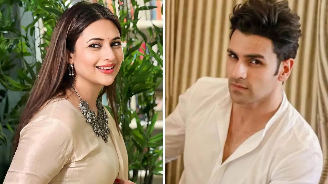 Vivek Tahia Divyanka talks about rumors about divorce with Tripathi
