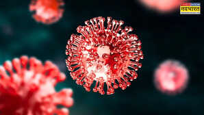 Corona Virus in Noida नोएडा में कोरोना के 4 नए मामले स्वास्थ्य विभाग ने जारी की कोविड गाइडलाइन