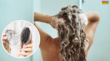 Hair Wash Tips To Stop Hairfall शैम्पू करते वक्त नहीं टूटेंगे बाल शानदार रिजल्ट्स के लिए फॉलों करें ये टिप्स हेयरफॉल की होगी छुट्टी
