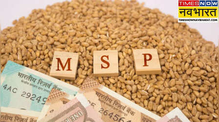 MSP: करोड़ों किसानों के लिए राहत की खबर, सरकार ने 14 खरीफ फसलों पर बढ़ाया MSP