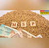 MSP करोड़ों किसानों के लिए राहत की खबर सरकार ने 14 खरीफ फसलों पर बढ़ाया MSP