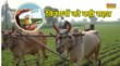 खुशखबरी किसानों को बड़ी राहत KCC पर मिलता रहेगा सस्ता लोन देना होगा सिर्फ इतने ब्याज