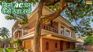 How To Keep House Cool Without AC गर्मियों में एकदम ठंडा रहेगा आपका घर बिना ऐसी-कूलर कटेंगी गर्मियां बस फॉलों करें ये नुस्खे