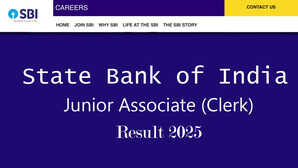 SBI Clerk Mains Result 2025 एसबीआई क्लर्क मेंस रिजल्ट कब आएगा जानें कहां से मिलेगा डायरेक्ट लिंक