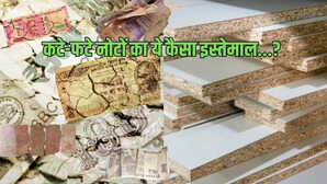 गजब अब कटे-फटे नोटों से बनेंगे पार्टिकल बोर्ड जानिए RBI ने क्यों लिया यह फैसला