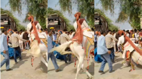 Viral Video Today दूल्हे के साथ हो गया खेलघोड़ी से ऐसे गिरा जिंदगीभर नहीं भूल पाएगा अपनी शादी